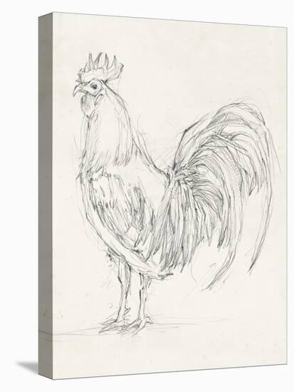 Rooster Sketch II-Ethan Harper-Stretched Canvas