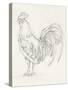 Rooster Sketch II-Ethan Harper-Stretched Canvas