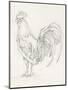 Rooster Sketch II-Ethan Harper-Mounted Art Print