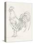 Rooster Sketch II-Ethan Harper-Stretched Canvas