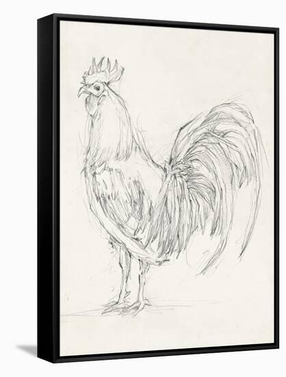 Rooster Sketch II-Ethan Harper-Framed Stretched Canvas