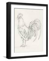 Rooster Sketch II-Ethan Harper-Framed Art Print