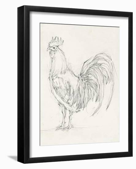 Rooster Sketch II-Ethan Harper-Framed Art Print