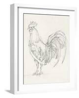 Rooster Sketch II-Ethan Harper-Framed Art Print