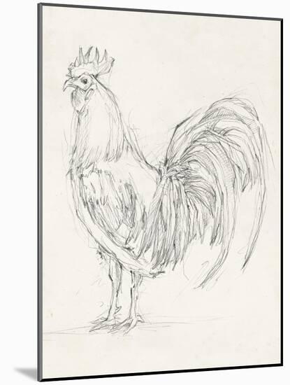 Rooster Sketch II-Ethan Harper-Mounted Art Print