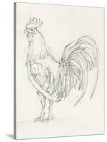 Rooster Sketch II-Ethan Harper-Stretched Canvas