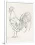 Rooster Sketch II-Ethan Harper-Framed Art Print