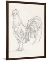 Rooster Sketch II-Ethan Harper-Framed Art Print