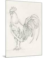 Rooster Sketch II-Ethan Harper-Mounted Art Print