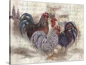 Rooster Trinity-Alma Lee-Stretched Canvas