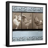 Rooster Ware Aqua II-Kory Fluckiger-Framed Giclee Print