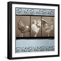 Rooster Ware Aqua III-Kory Fluckiger-Framed Premium Giclee Print