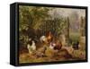 Rooster with Hens and Chicks-Carl Jutz-Framed Stretched Canvas