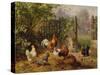 Rooster with Hens and Chicks-Carl Jutz-Stretched Canvas