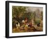 Rooster with Hens and Chicks-Carl Jutz-Framed Giclee Print