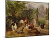 Rooster with Hens and Chicks-Carl Jutz-Mounted Giclee Print