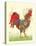 Rooster-Teofilo Olivieri-Stretched Canvas