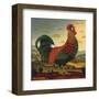 Rooster-Diane Ulmer Pedersen-Framed Art Print