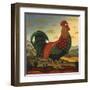 Rooster-Diane Ulmer Pedersen-Framed Art Print