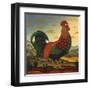 Rooster-Diane Ulmer Pedersen-Framed Art Print