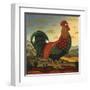 Rooster-Diane Ulmer Pedersen-Framed Art Print