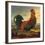 Rooster-Diane Ulmer Pedersen-Framed Art Print