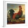 Rooster-Diane Ulmer Pedersen-Framed Art Print