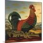 Rooster-Diane Ulmer Pedersen-Mounted Art Print