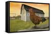 Rooster-null-Framed Stretched Canvas