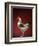 Rooster-Adrianna Williams-Framed Photographic Print