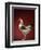 Rooster-Adrianna Williams-Framed Photographic Print