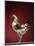 Rooster-Adrianna Williams-Mounted Photographic Print