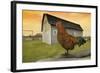 Rooster-null-Framed Photographic Print