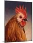 Rooster-James W. Johnson-Mounted Giclee Print