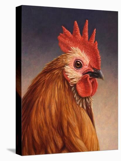 Rooster-James W. Johnson-Stretched Canvas