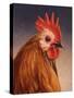 Rooster-James W. Johnson-Stretched Canvas