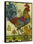 Rooster-David Galchutt-Framed Stretched Canvas