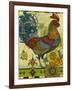 Rooster-David Galchutt-Framed Giclee Print