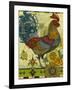 Rooster-David Galchutt-Framed Giclee Print