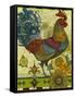 Rooster-David Galchutt-Framed Stretched Canvas