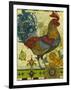 Rooster-David Galchutt-Framed Giclee Print