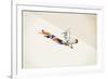 Rooster-Jason Ratliff-Framed Giclee Print