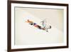 Rooster-Jason Ratliff-Framed Giclee Print