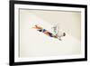 Rooster-Jason Ratliff-Framed Giclee Print