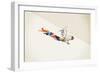 Rooster-Jason Ratliff-Framed Premium Giclee Print