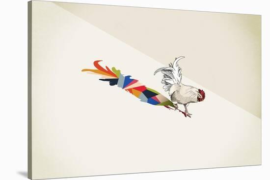 Rooster-Jason Ratliff-Stretched Canvas