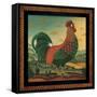 Rooster-Diane Pedersen-Framed Stretched Canvas