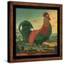 Rooster-Diane Pedersen-Stretched Canvas