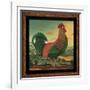 Rooster-Diane Pedersen-Framed Art Print