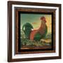 Rooster-Diane Pedersen-Framed Art Print